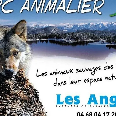 아파트 2 Pieces Au Pied Des Pistes Avec Parking - Fr-1-593-48