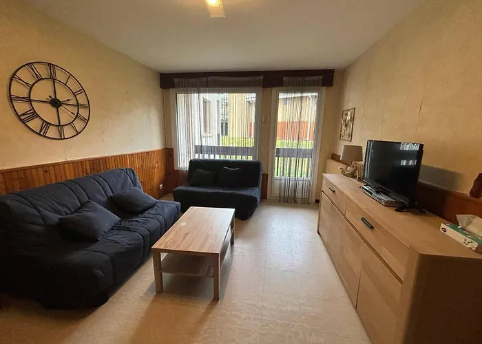 2 Pièces Pied Des Pistes Avec Parking Et Casier à Skis - Fr-1-593-48 Appartement *